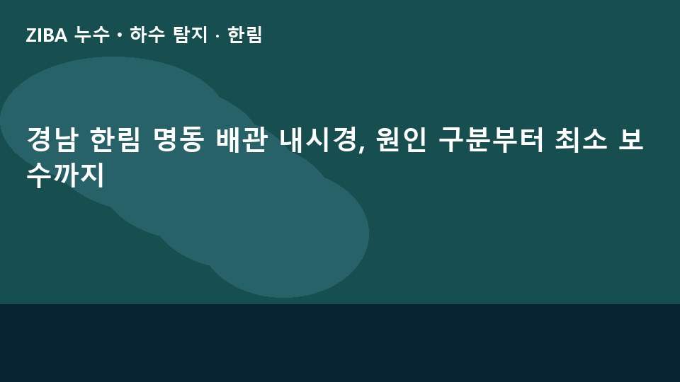 경남 한림 명동 배관 내시경, 원인 구분부터 최소 보수까지