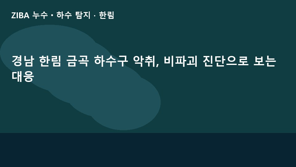 경남 한림 금곡 하수구 악취, 비파괴 진단으로 보는 대응