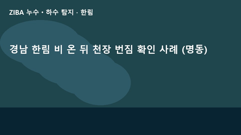 경남 한림 비 온 뒤 천장 번짐 확인 사례 (명동)