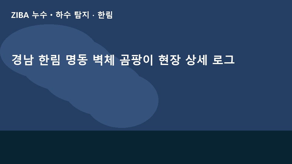 경남 한림 명동 벽체 곰팡이 현장 상세 로그