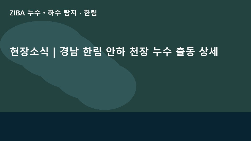 현장소식 | 경남 한림 안하 천장 누수 출동 상세